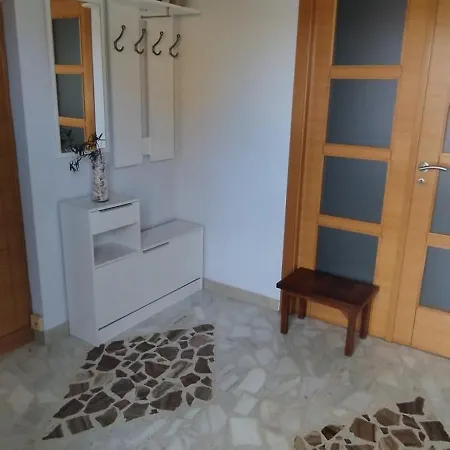 Arasolis פיניסטרה